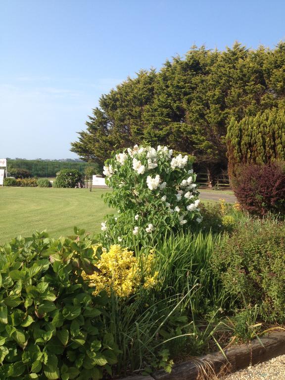 Abrae House Guest House Rosslare Harbour Extérieur photo